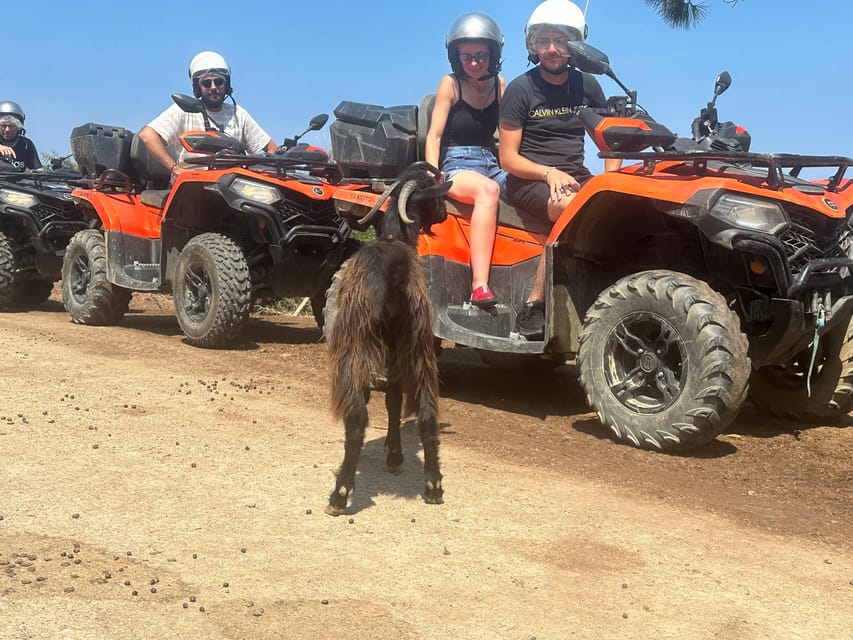 Crete: Quad Safari, Olive Mill with Tasting & Ghost Village - Key highlights to know before you go