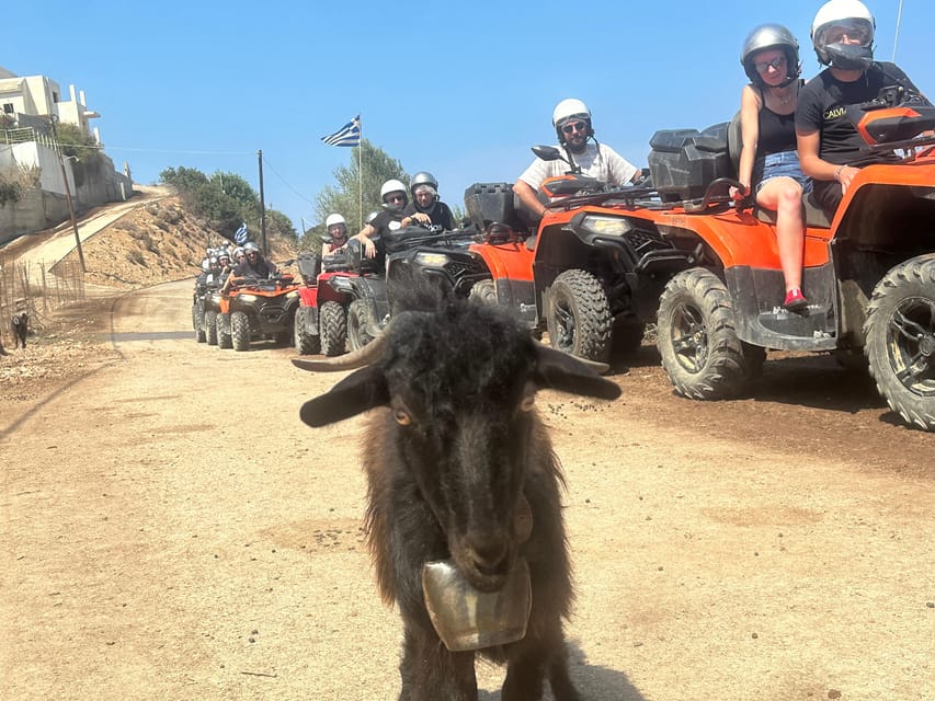 Crete: Quad Safari, Olive Mill with Tasting & Ghost Village - Olive mill history, then your olive oil tasting and honey