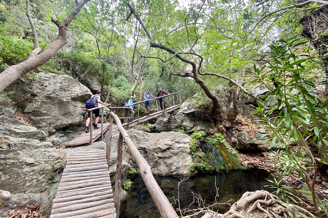 Crete: Richtis Gorge & Waterfall Guided Hiking Adventure - Ponds, smaller waterfalls, and endemic plants you can actually spot