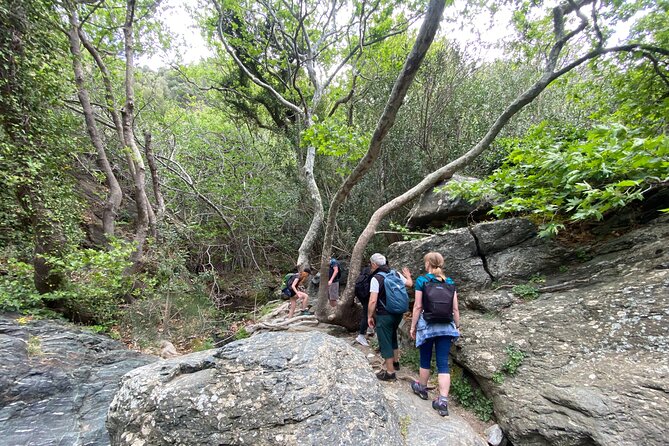 Crete: Richtis Gorge & Waterfall Guided Hiking Adventure - The 20 m Richtis waterfall: cool down, then enjoy the moment
