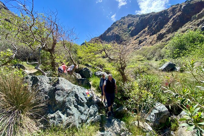 Crete: Richtis Gorge & Waterfall Guided Hiking Adventure - What to pack for a rocky gorge hike: shoes and simple comfort choices