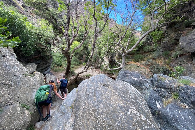 Crete: Richtis Gorge & Waterfall Guided Hiking Adventure - Price and value: what $102.84 includes, and how the €5 fee changes the math