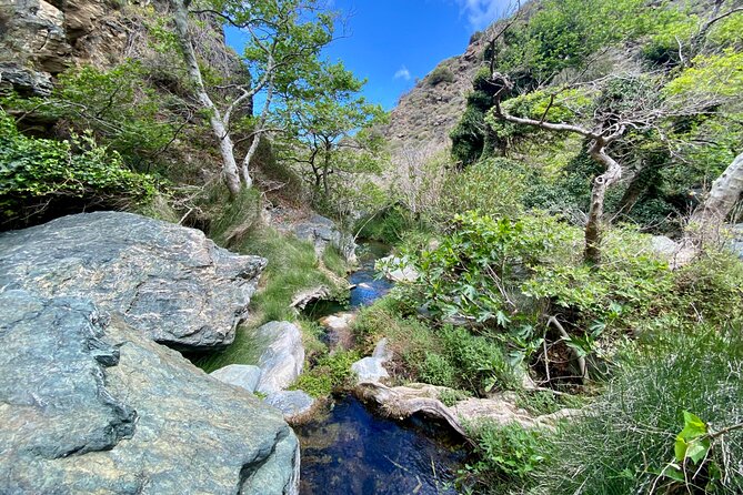 Crete: Richtis Gorge & Waterfall Guided Hiking Adventure - Who this hike is best for (and who might want a different plan)