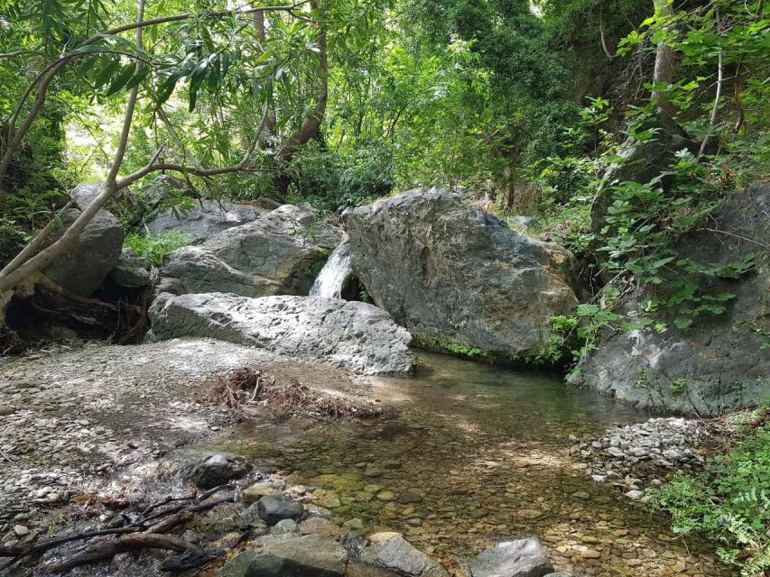 Crete: Richtis Waterfall Full-Day Tour with Olive Tasting - The Gorge Hike: Short Walk, Uneven Footing, Real Forest Sounds