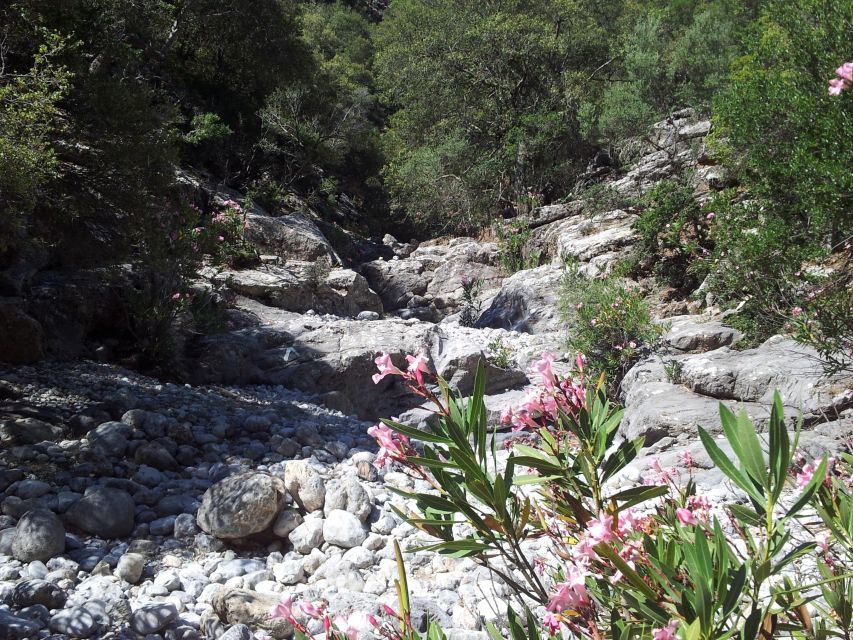Crete: Richtis Waterfall Full-Day Tour with Olive Tasting - At Richtis Waterfall: Stairs, Photos, and a Proper Cooling Swim