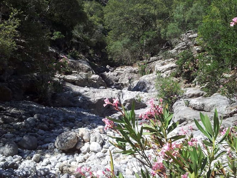 Crete: Richtis Waterfall Full-Day Tour with Olive Tasting - Group Size and Guiding: Easy Pacing with a Real Human Voice