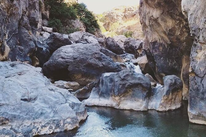 Crete: River Trekking at Preveli Beach - What to Wear and Bring: Water Shoes, Swimsuit, and Comfort Moves