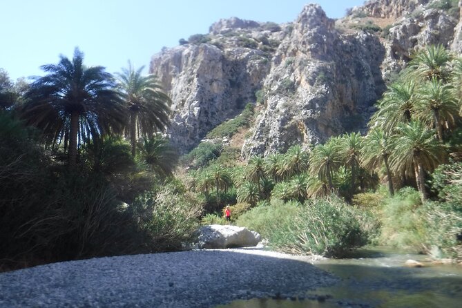 Crete: River Trekking at Preveli Beach - Group Size, Timing, and Getting There Without Stress