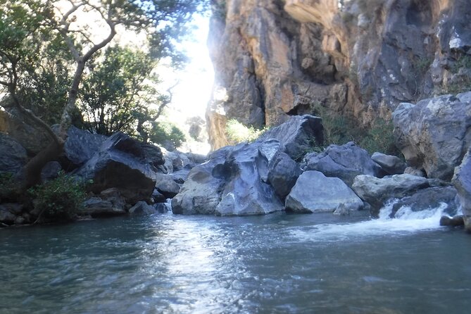 Crete: River Trekking at Preveli Beach - Who This Tour Suits Best (And Who Might Want Another Plan)