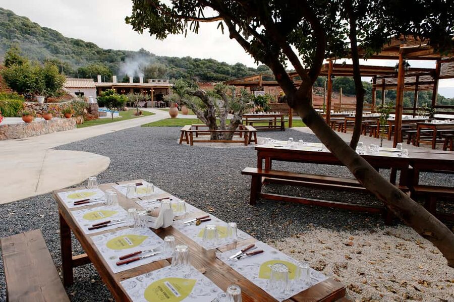 Crete: Road-trip to Lasithi, Zeus Cave & Olive Mill Farm - Krasi village: a short break with that old-tree moment