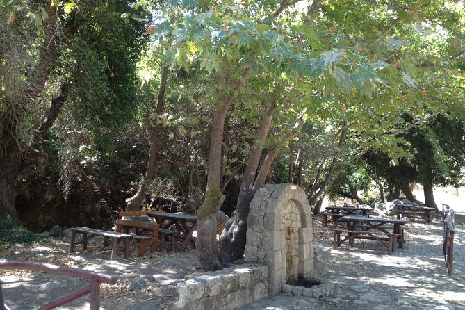 Crete's Wine and Olives Safari Tour from Chania - Off-road and road time: the part to mentally prepare for