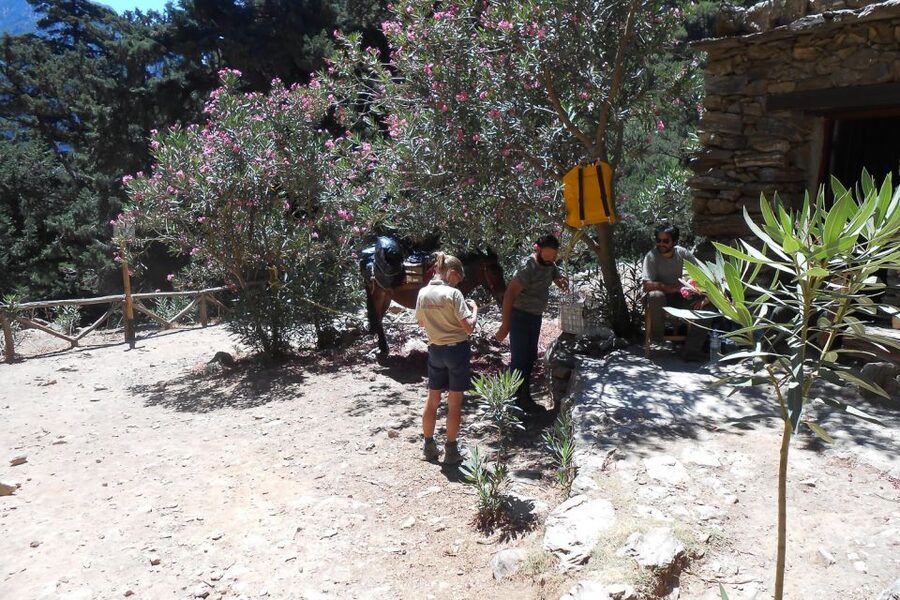 Crete: Samaria Gorge Hiking with transfer and expert Escort - Agia Roumeli at midday, tavern food and a real reset