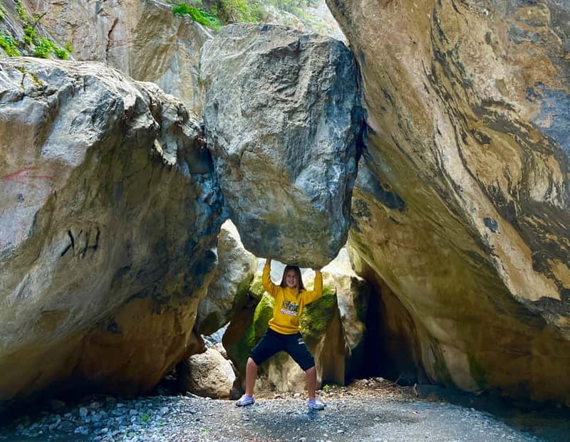 Crete: Sarakina Gorge, Forests, and South Coast Safari - Orange Land Rover Discovery, six people, and a 7-hour circuit