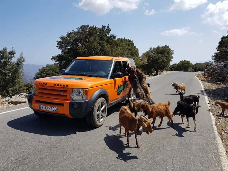 Crete: Sarakina Gorge, Forests, and South Coast Safari - Kroustas Mountain Forest: the protected area you can actually feel