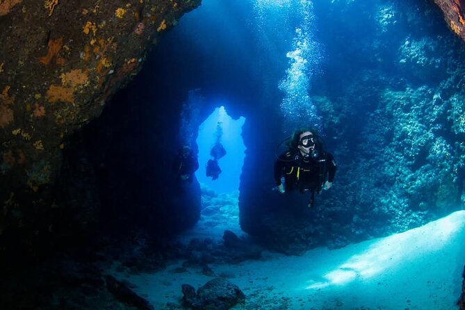 Crete: Scuba Diving for Certified Divers in Chania - Key Highlights Worth Planning For