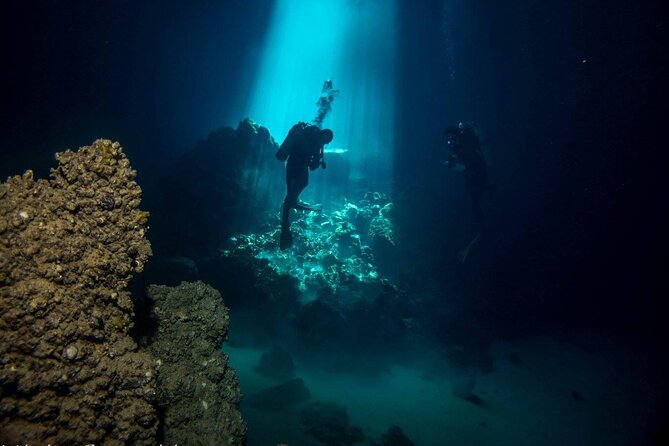 Crete: Scuba Diving for Certified Divers in Chania - Equipment Rental Without Computers, and Why That Matters
