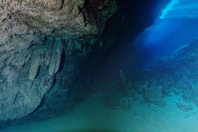 Crete: Scuba Diving for Certified Divers in Chania - Value for $168.58: What You’re Really Paying For