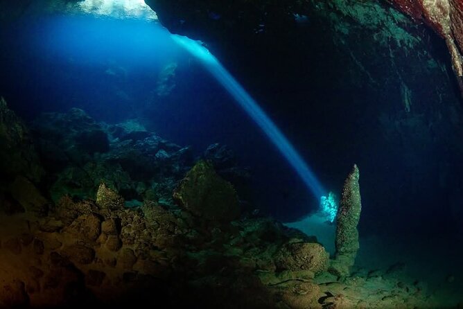 Crete: Scuba Diving for Certified Divers in Chania - Chania Pickup, 9:00 AM Timing, and the Half-Day Feel