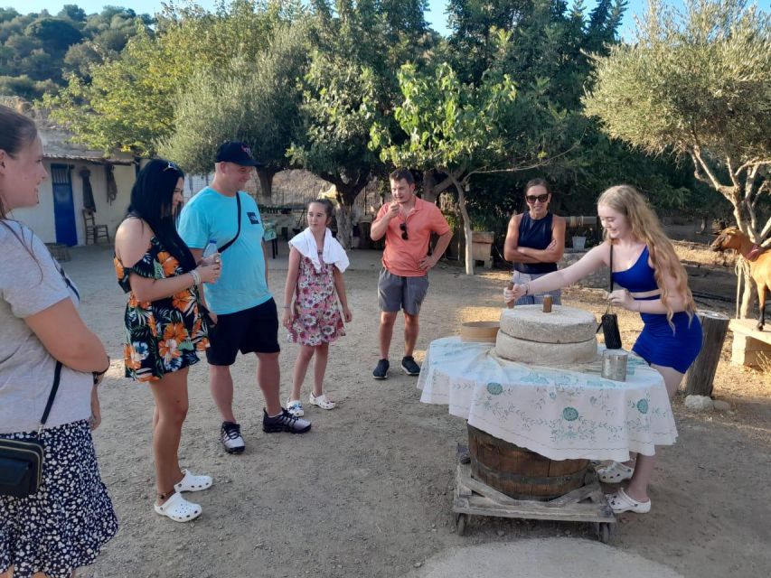Crete: Sunset Safari - Dinner in Malia, with wine and water to close the day