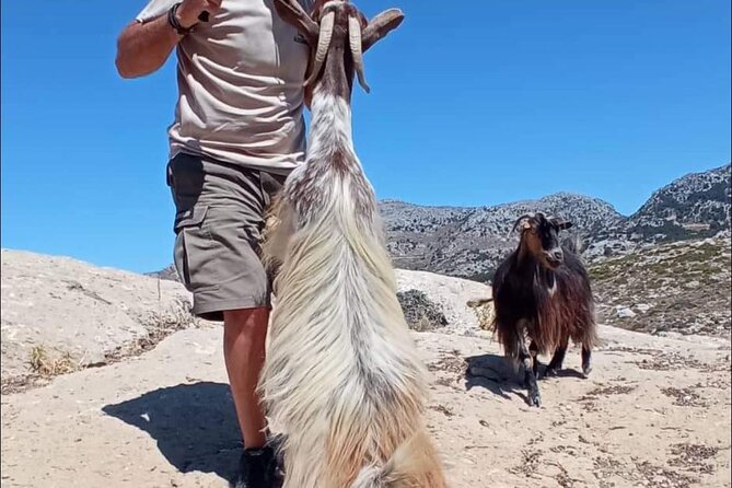 Crete: Tripitis Gorge South Crete Guided Jeep Safari - Loukia Raki Stop: A Good Reset Before the Off-Road