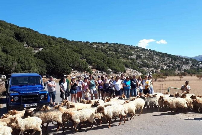 Crete: Tripitis Gorge South Crete Guided Jeep Safari - Pickup Around Heraklion, Then You Start Rolling