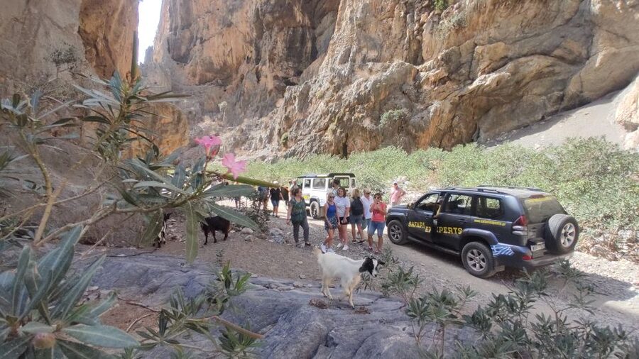 Crete: Trypiti Beach Off-Road South Tour w/ Lunch & Wine - Gortyna photo stop: ruins you can connect to later