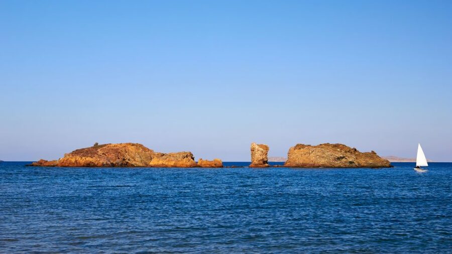 Crete: Vai Palm Forest, Itanos & Erimoupoli Beach, Road Trip - Vai Palm Forest Beach: Europe’s Largest Natural Date Palm Colony