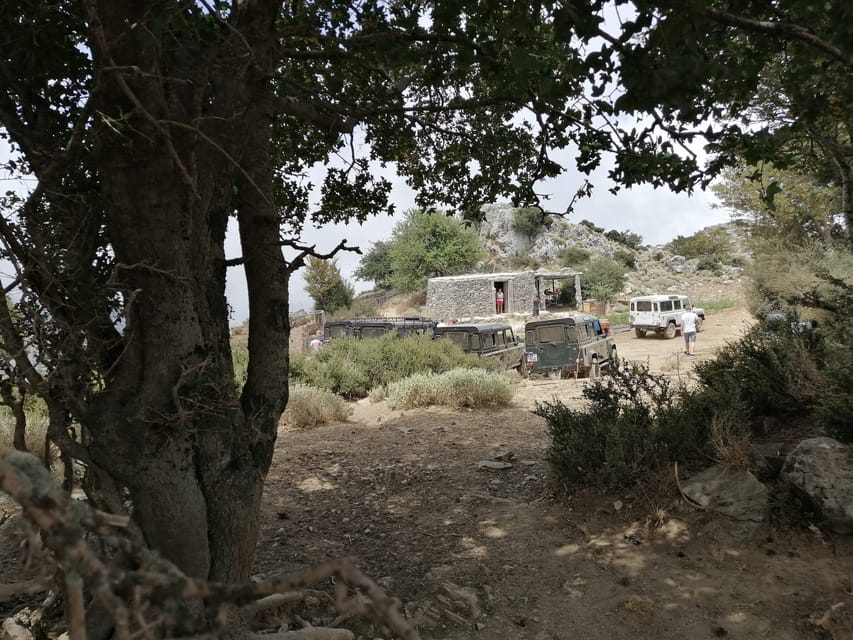 Crete: White Mountains Preserve Day Tour - The Mitato shepherd hut at 1350 meters, and why cheese matters