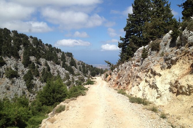 Crete White Mountains Safari Including Lunch - Morning valley drive: Orange trees, village coffee, and a calmer start