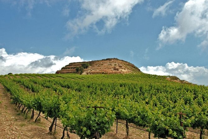 Crete Wine and Olive Oil Tour - Key highlights worth knowing before you go