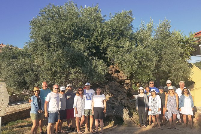 Crete Wine and Olive Oil Tour - Stop 1: Anoskeli Winery Olive Mill, with vineyards and olive mill focus