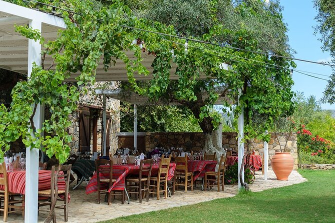 Crete Wine and Olive Oil Tour - Tastings, food, and pace: how the day feels from start to finish