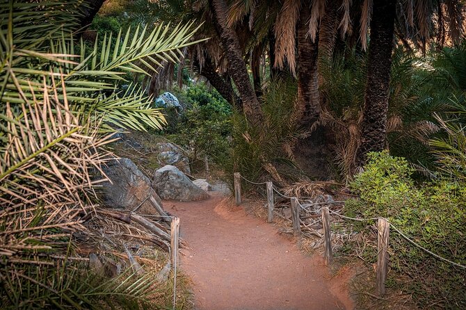 Day Tour to Preveli Tropical Beach and Palm Forest from Heraklion - Entering Preveli: The Palm Canyon Walk Before You Swim