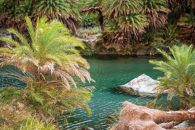 Day Tour to Preveli Tropical Beach and Palm Forest from Heraklion - Group Size, Guide Style, and the Best Way to Make the Day Work