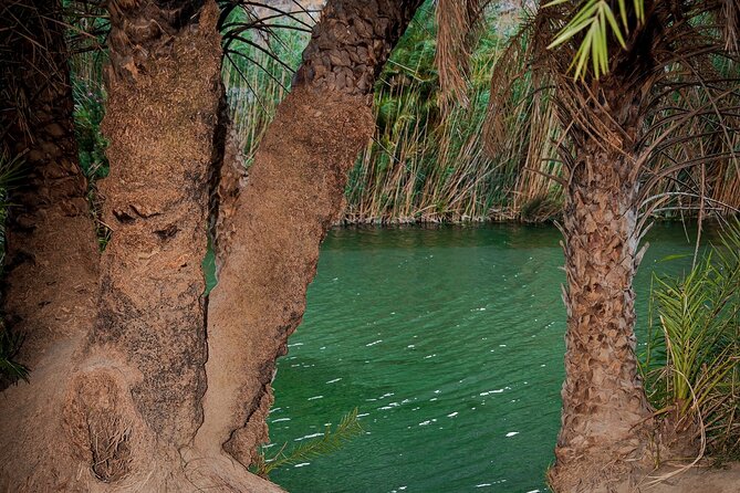 Day Tour to Preveli Tropical Beach and Palm Forest from Heraklion - What’s Not Included, and How to Plan Around It