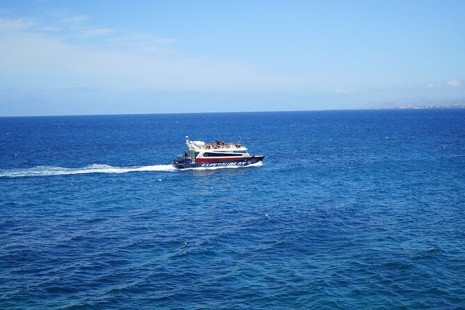 Dia Island Adventure Mythology Nature and Snorkeling Tour - Group Size and the Feeling on Board