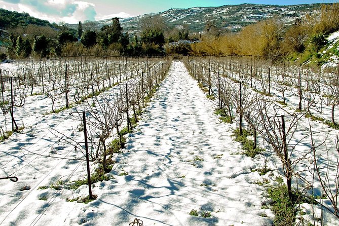 Digenakis winery - Wine tasting experience - Getting there without stress: a real-world caution