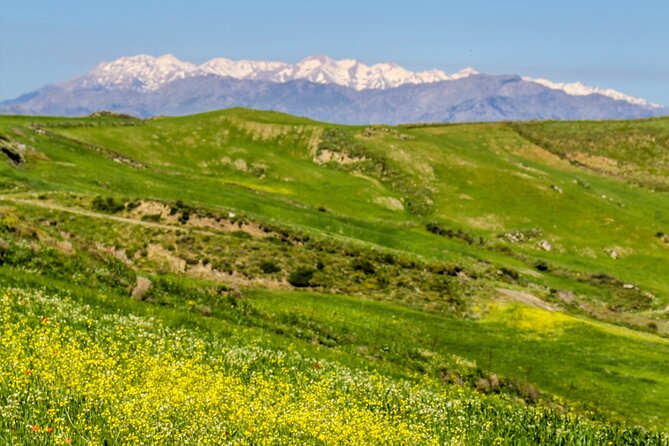 Discover South Crete – Rethymno - Price and What You Actually Get for $42.01