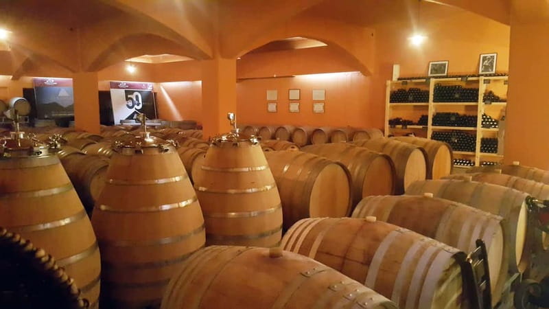 Discover Taste of Crete: Guided Winery Tour and Tastings - The tastings plan: how to get the most from 10 pours in 4 hours