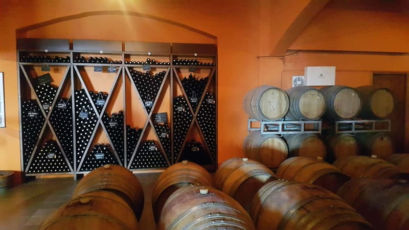Discover Taste of Crete: Guided Winery Tour and Tastings - Guides, stories, and what makes the small group feel personal