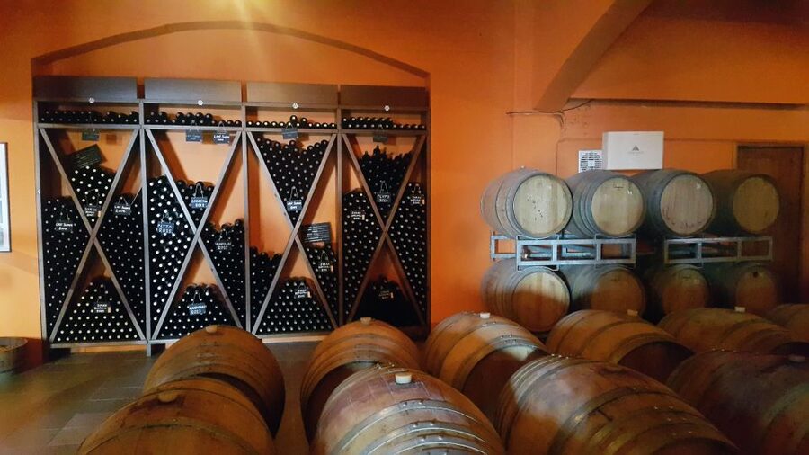 Discover Taste of Crete: Guided Winery Tour and Tastings - Should you book Taste of Crete: Guided Winery Tour and Tastings?