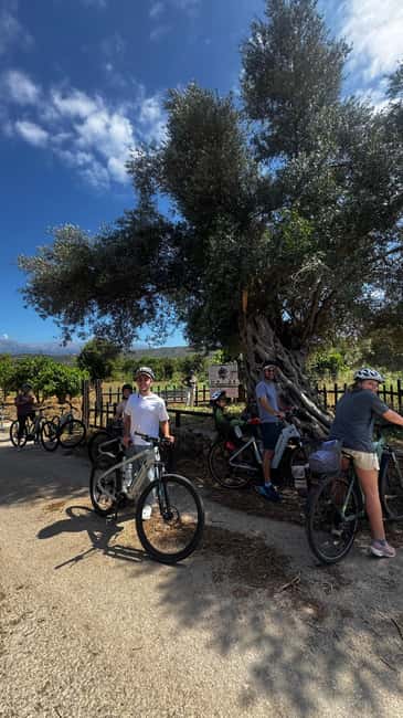 Discover the Heart of Crete on an E-Bike Adventure - The peaceful path where you hear birds and water
