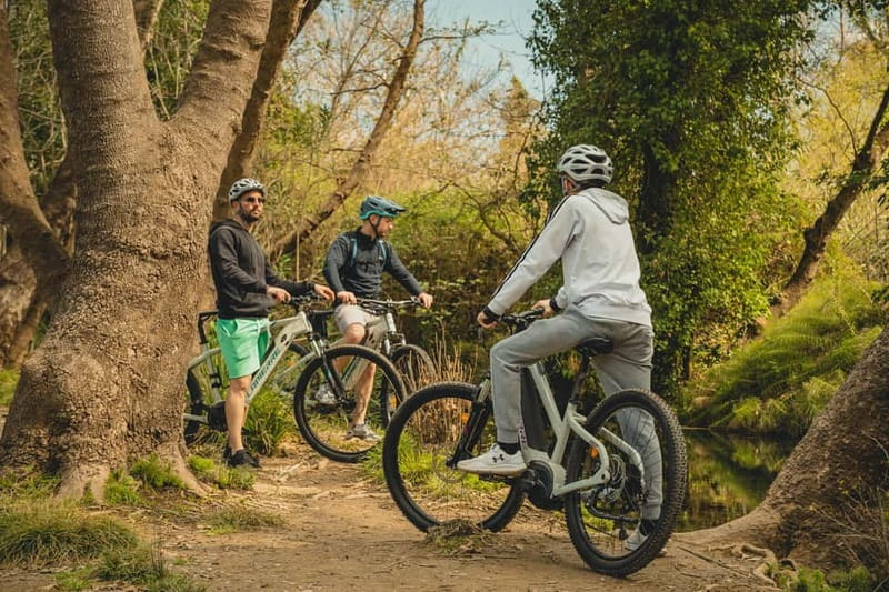 Discover the Heart of Crete on an E-Bike Adventure - Starting in Chania with a guide who keeps it simple