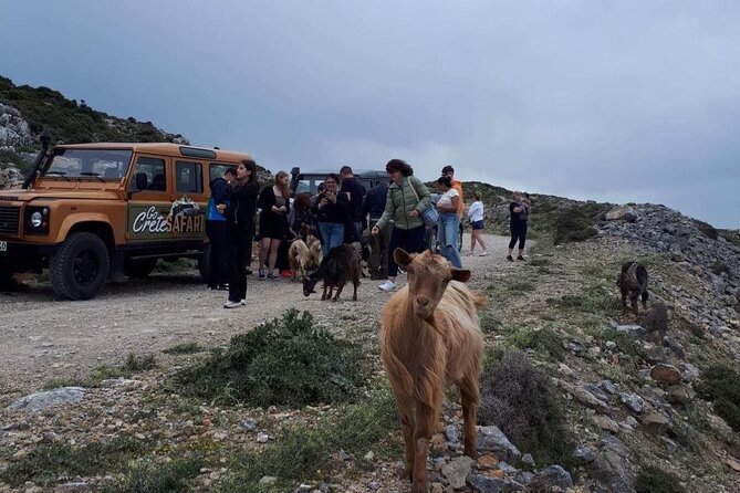 Discover The Secrets Of The Southern Crete Jeep Safari tour - Southern Crete by private jeep: what kind of day is this?