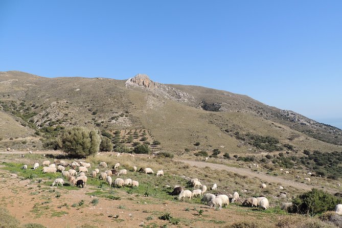 Discover The Secrets Of The Southern Crete Jeep Safari tour - Stop 3, Thrapsano pottery workshop: craft watching with a chance to try