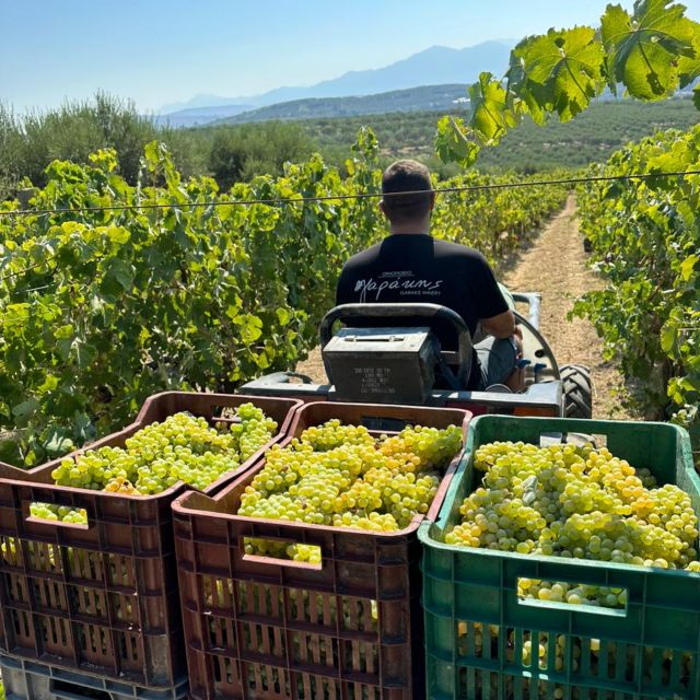 E-bike-Full Day - Knossos - Olive oil Factory & Wine Tasting - What You Actually Do on This 5-Hour E-Bike Crete Day