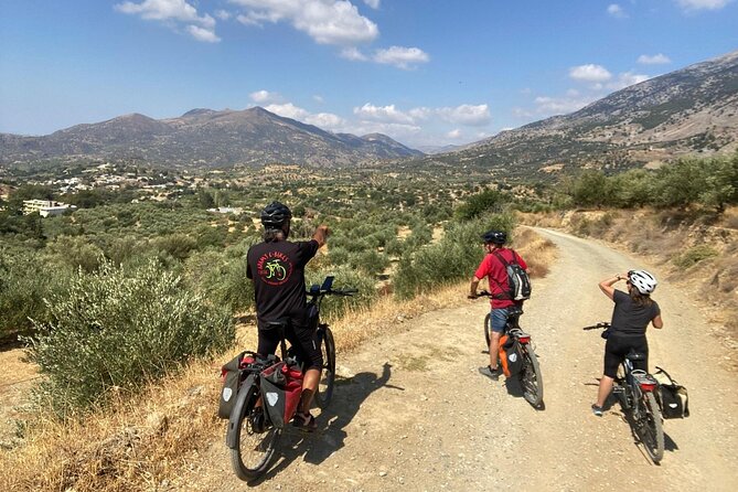 E-Bike Tour with Wine Tasting in Dafnes, Heraklion - How the taxi return and timing shape your day