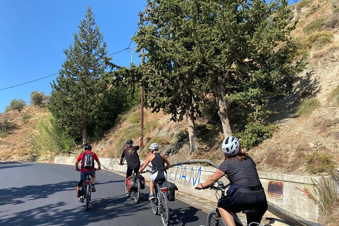 E-Bike Tour with Wine Tasting in Dafnes, Heraklion - Who should book this Dafnes e-bike wine tour (and who should skip it)