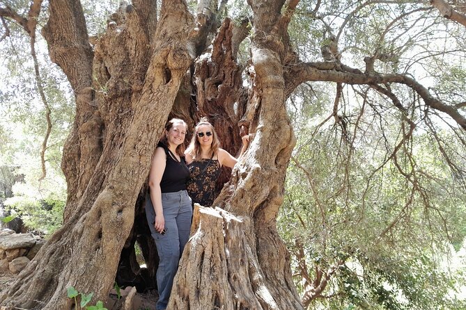 Eat & Crete Food Tour [non-touristy] Chania Villages - Price and value: what $216.86 buys you on this tour