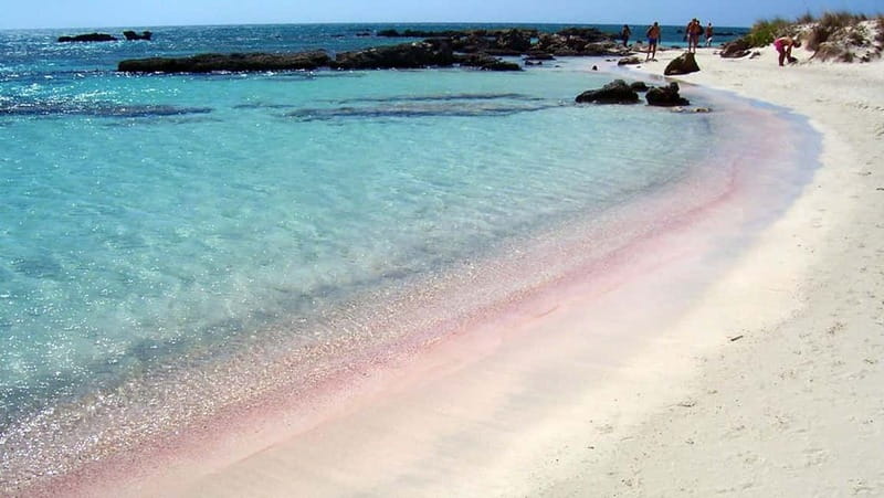 Elafonisi Bay - PINK COLOR SAND BEACH - Key things that make Elafonisi worth your time